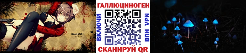 закладка  Тутаев  Псилоцибиновые грибы мицелий 